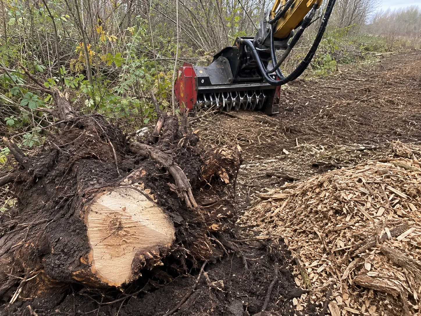 Brush Clearing and Chipping being built and completed on site by Harrowgate Group