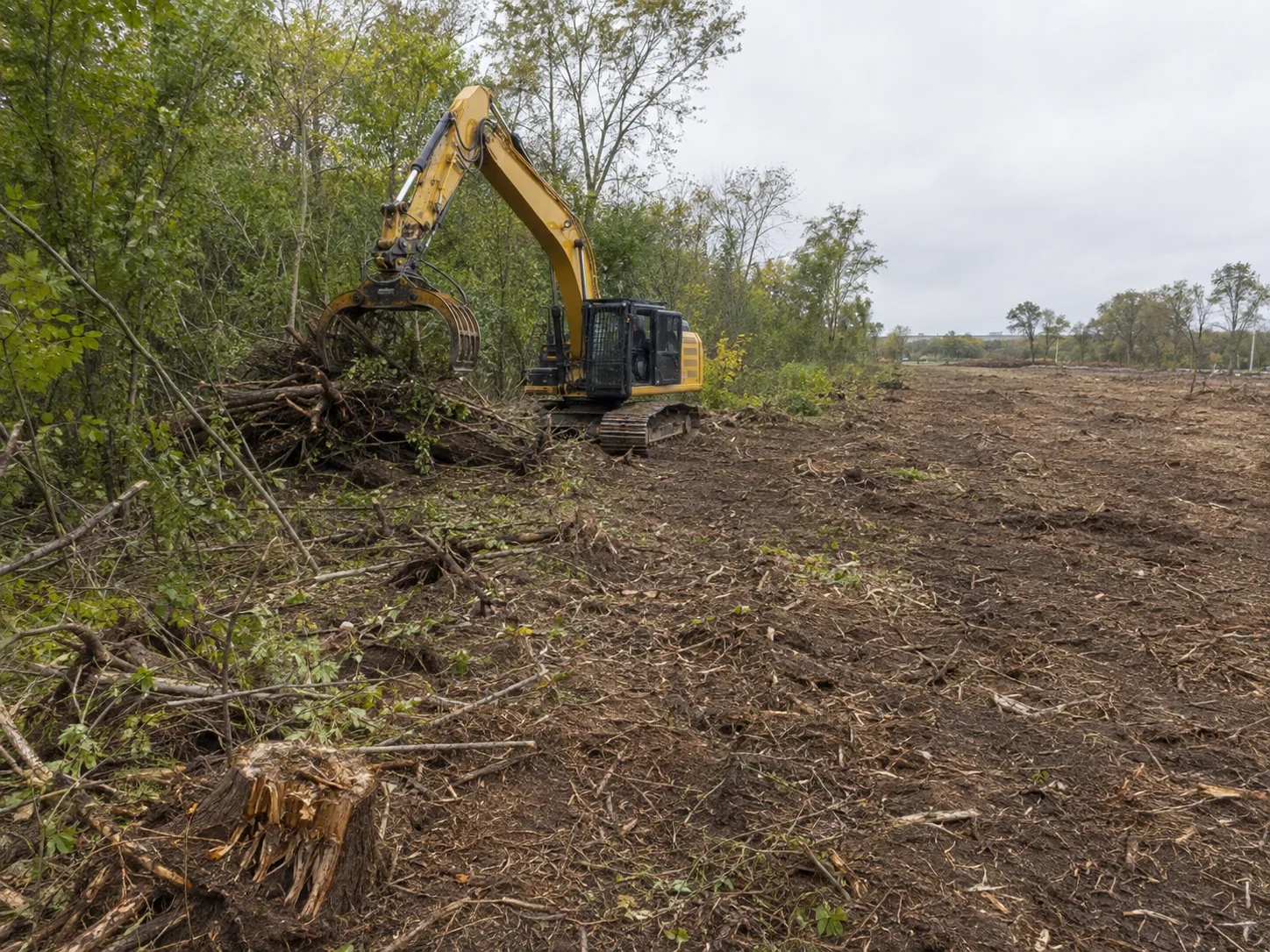Clearing limits, permits, and Ontario requirements by Harrowgate Group