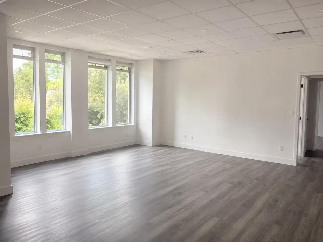 Which mould remediation method fits the condition? by Harrowgate Group
