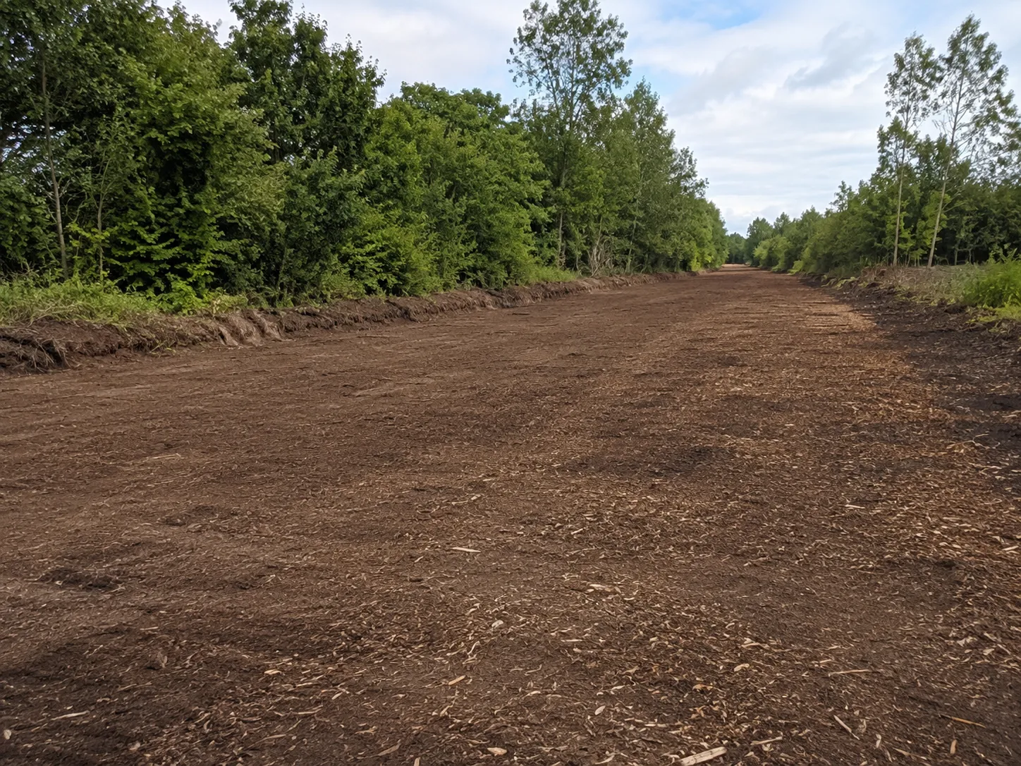 How we remove trees and grind stumps by Harrowgate Group